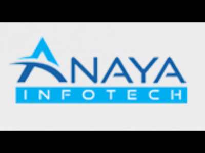 ANAYAS INFOTECH Logo