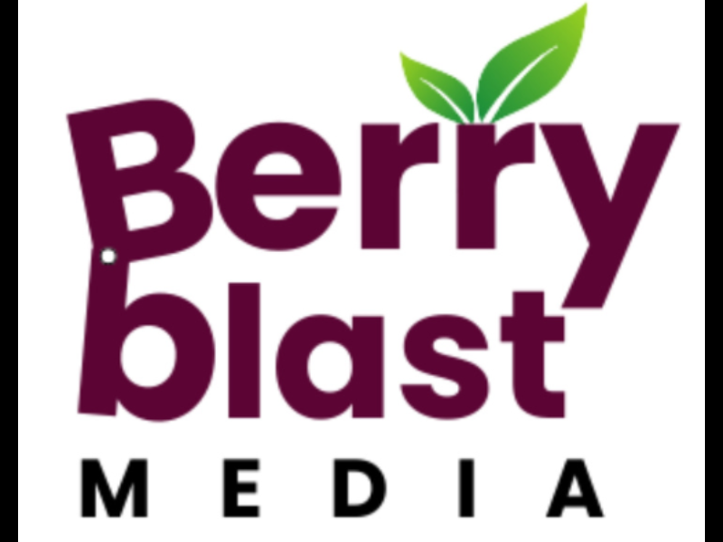 Berry Blast Media - Digital Marketing Agency in Mumbai | PPC | Social Media Marketing | SEO