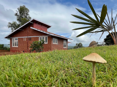 The Jackfruit Farmstay Logo