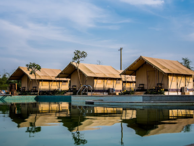 Dandeli Tiger Cottages Logo