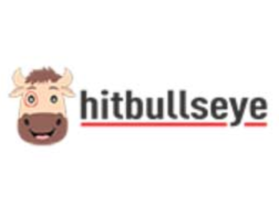 Hitbullseye Logo