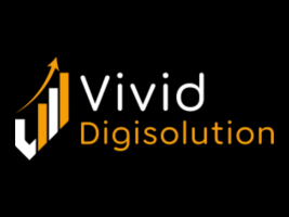 Vivid Digisolution Logo