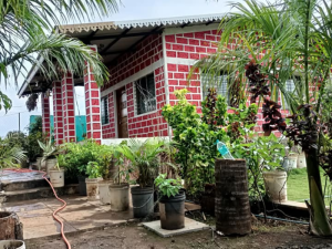 baaji-farmhouse-1