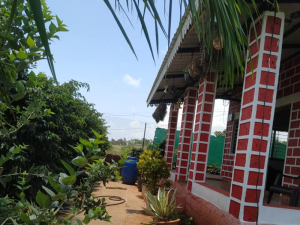 baaji-farmhouse-3
