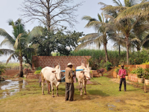 agg-farms-003