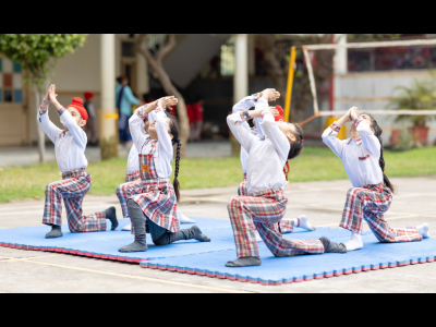 Bips preschool