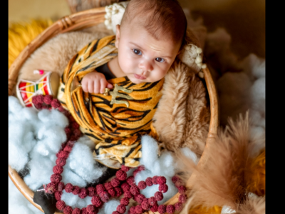 Baby Tiger Themed Photoshoot Mammas Tiny Cubberry
