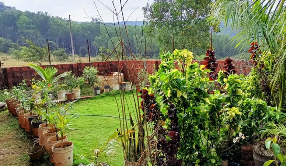 balaji-farmhouse-00
